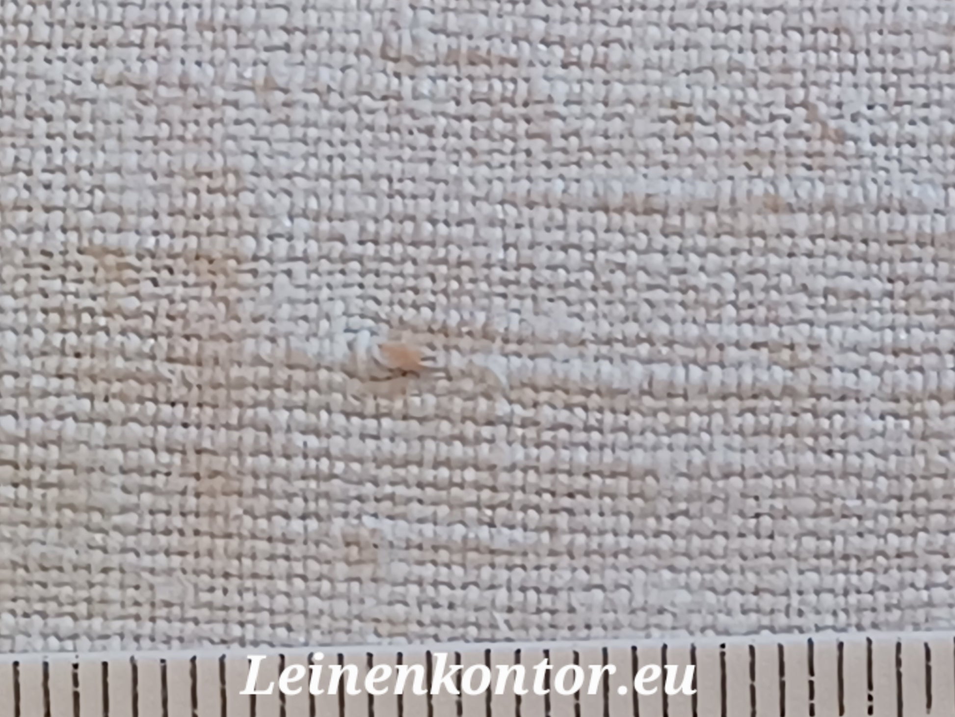 Leinenballen mit Millimeterskala 21 Fäden auf ein cm.