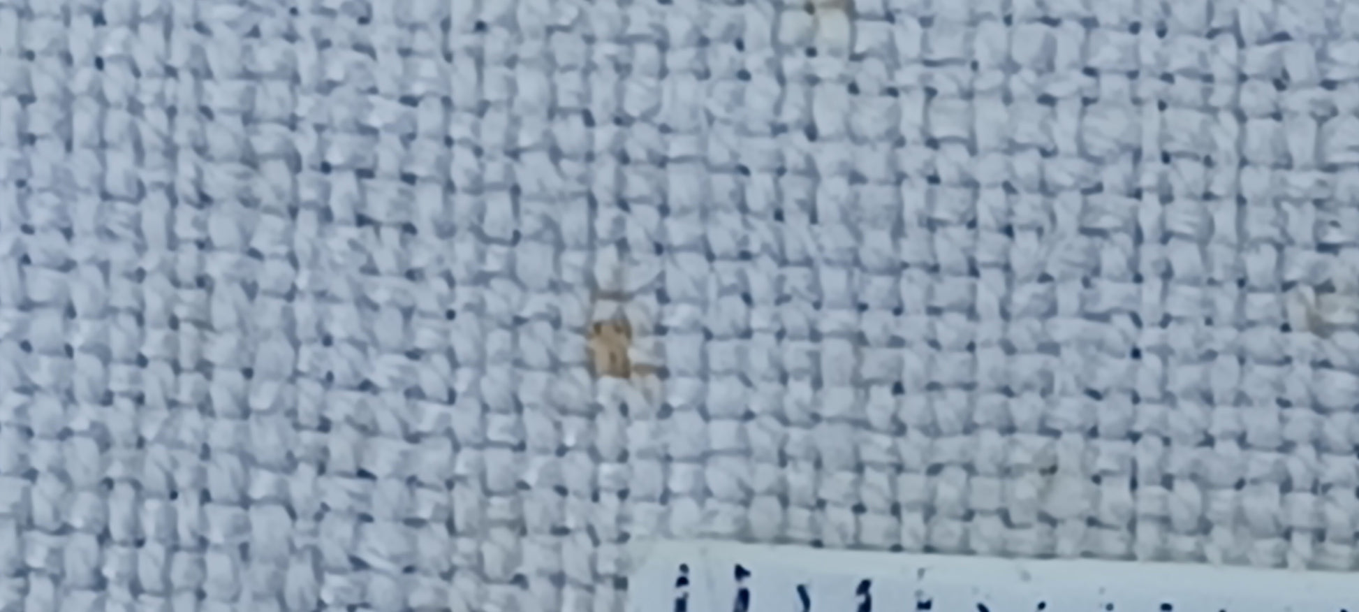 Leinenballen mit Millimeterskala 